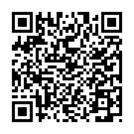 QR code for DYN4889