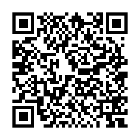 QR code for DYP2594
