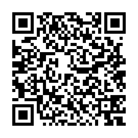 QR code for DYR1383