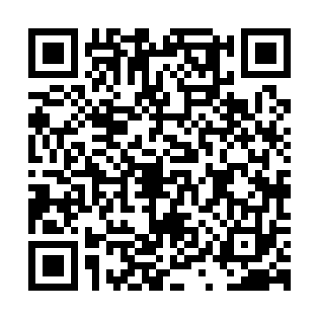 QR code for DYX1738