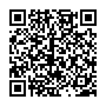 QR code for DYX3311