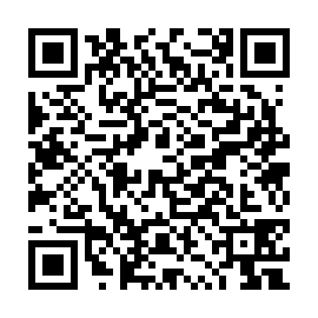 QR code for DZC2384