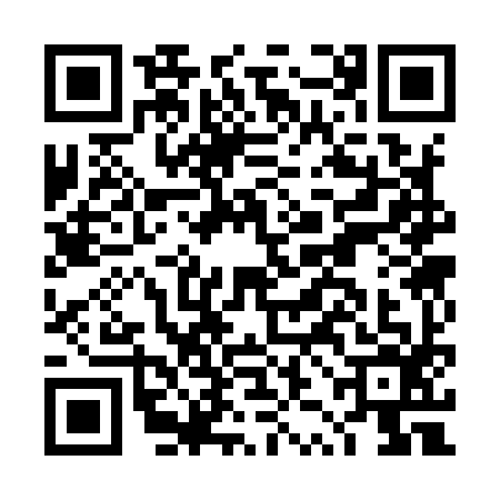 QR code for DZC9969