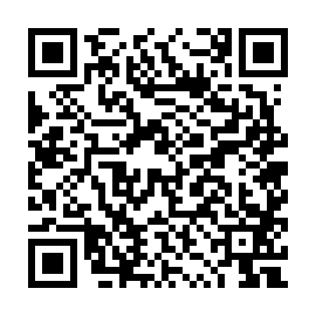 QR code for DZG6834