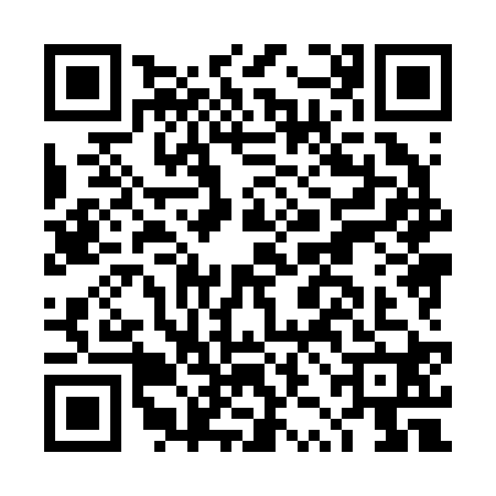 QR code for DZH2203