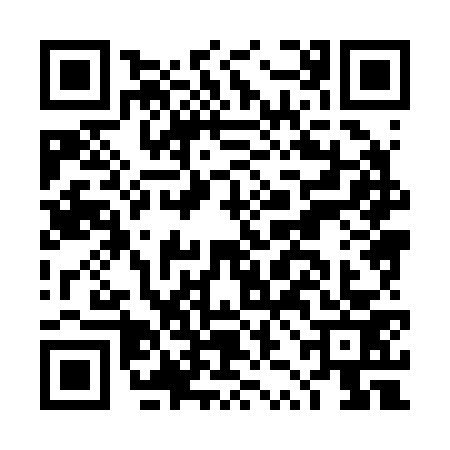 QR code for DZH2738