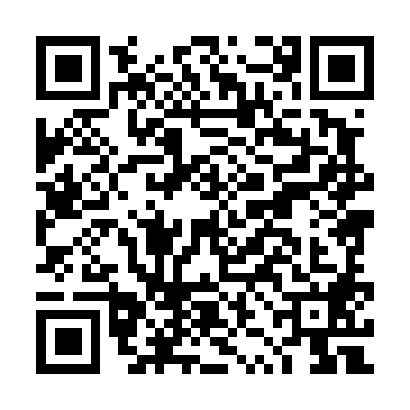 QR code for DZH4881