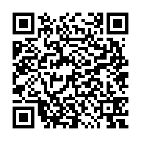 QR code for DZJ6397