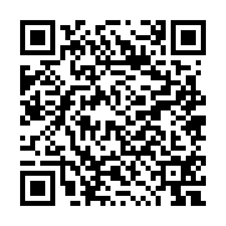 QR code for DZJ7141