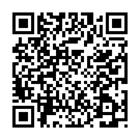 QR code for DZL1271