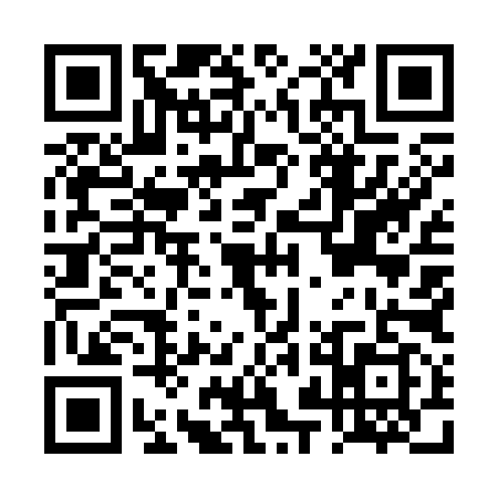 QR code for DZM3991