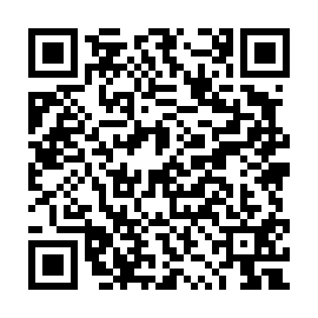 QR code for DZM4113