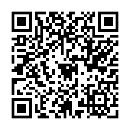 QR code for DZT2063
