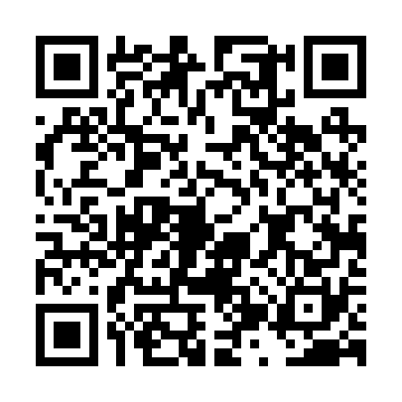 QR code for DZT2704