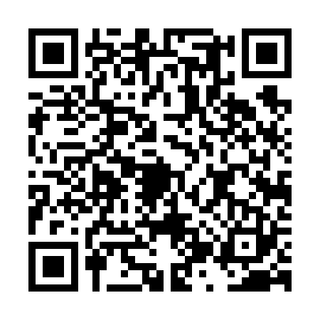 QR code for DZT6236