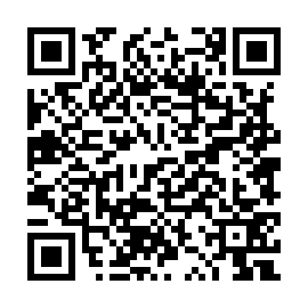 QR code for DZT9739