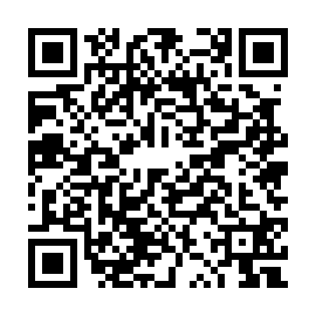 QR code for DZU0208