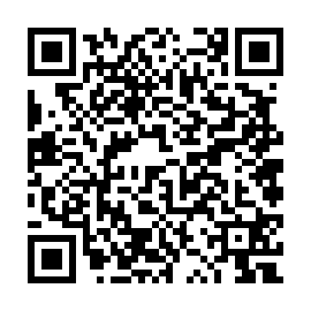QR code for DZV4208