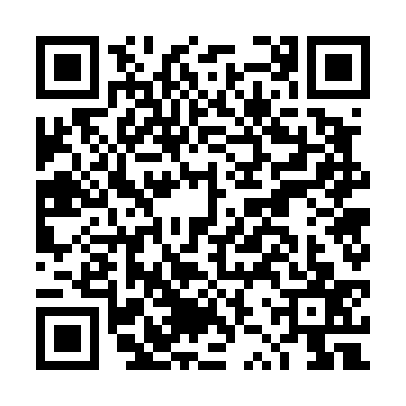 QR code for DZW4379