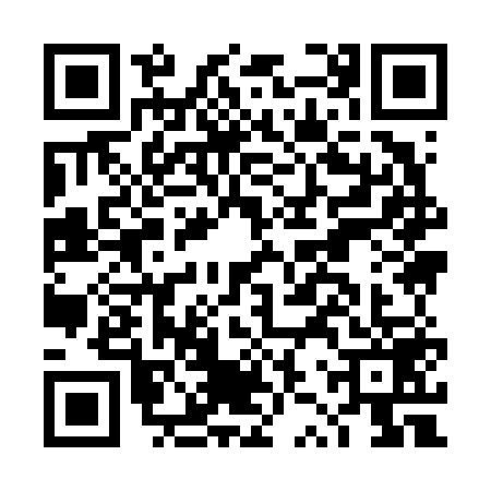 QR code for DZY6596
