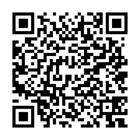 QR code for ECE7387