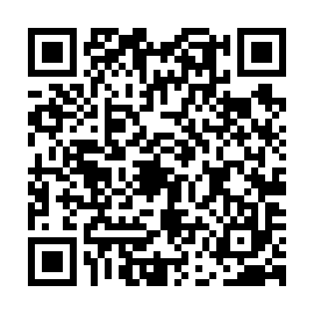 QR code for EEL6977