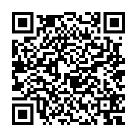 QR code for EEU0295