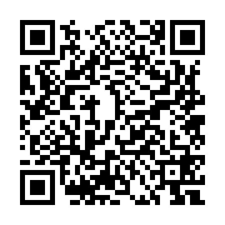 QR code for EFB9687