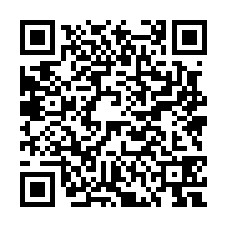 QR code for EGM0385