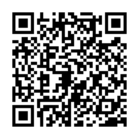 QR code for EIE4391