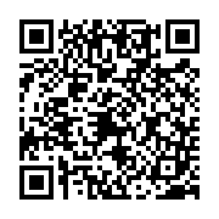 QR code for EIS4431