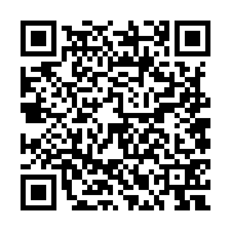 QR code for EMV9729