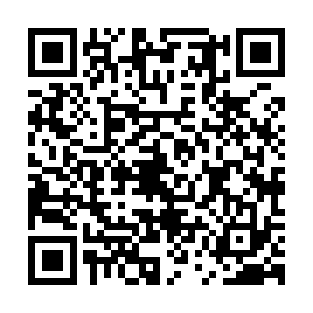 QR code for EUH9333