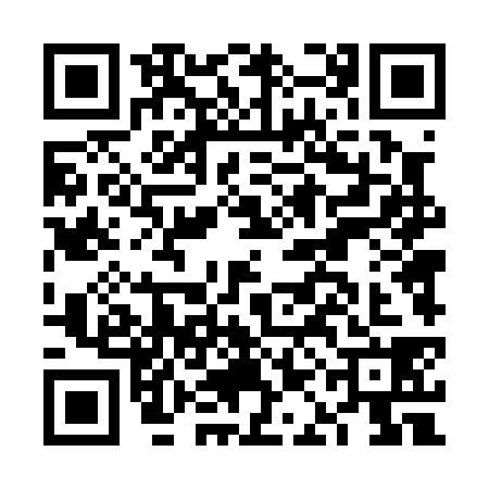 QR code for FAD0381