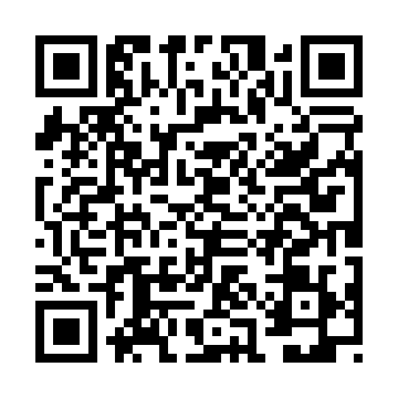 QR code for FAO0295