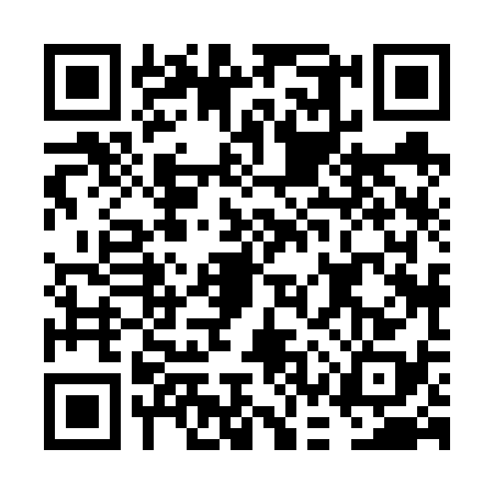 QR code for FCX6381
