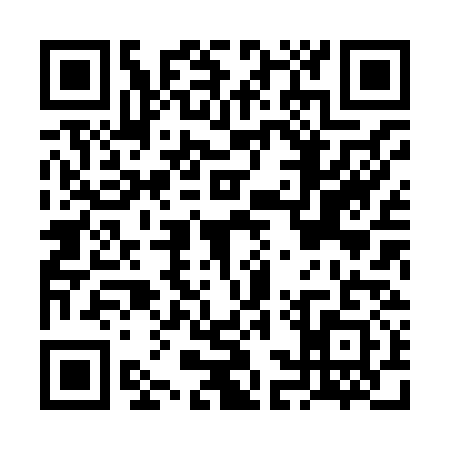 QR code for FCX8313