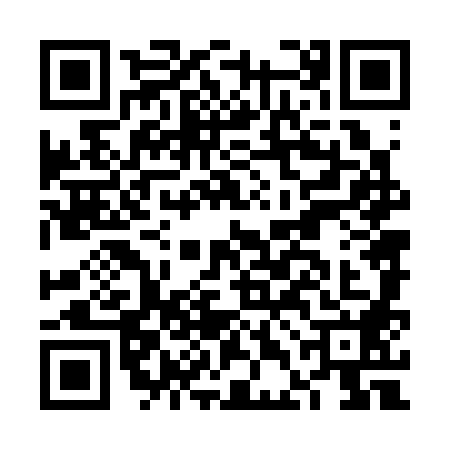 QR code for FDN3883
