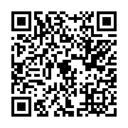 QR code for FEE6387