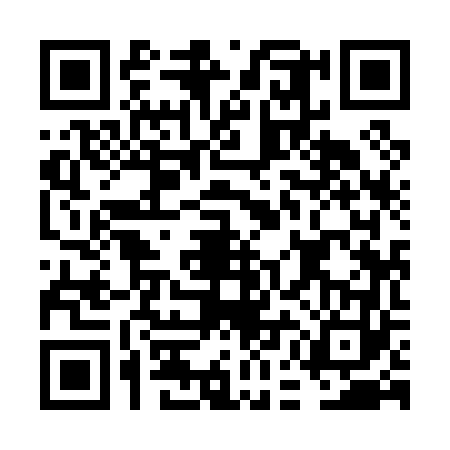 QR code for FEI0636