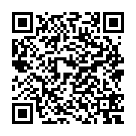 QR code for FEI3286