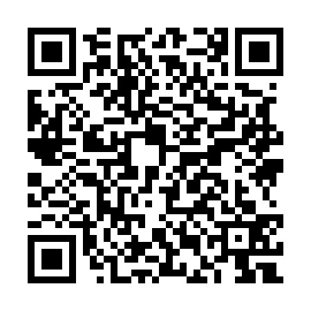QR code for FEI5334