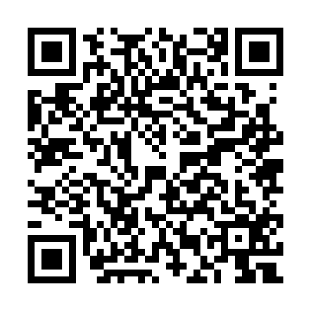QR code for FEZ3161