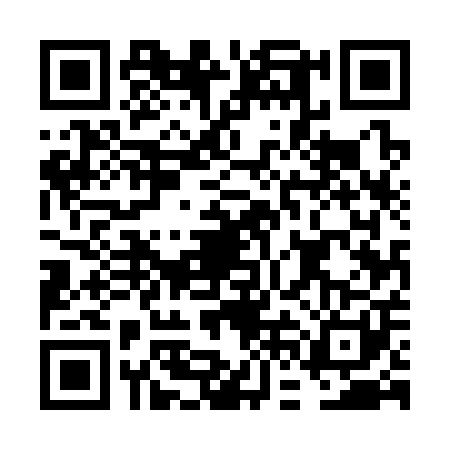 QR code for FFE3017