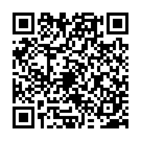 QR code for FFE3879