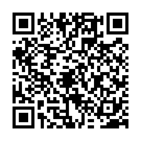 QR code for FFF5311
