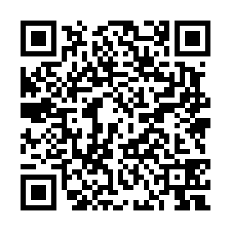 QR code for FFM4385