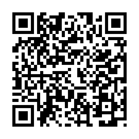 QR code for FFT8593