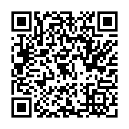 QR code for FGP6638