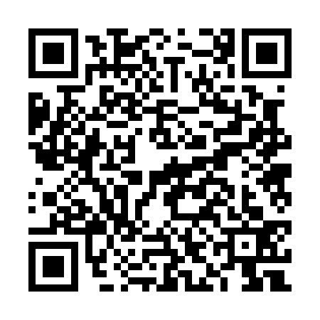 QR code for FIB0331